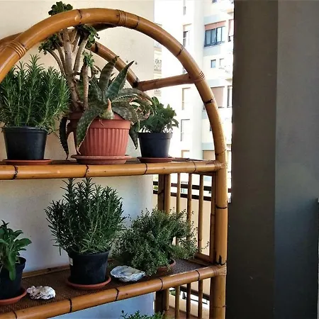 Demidoff With Free Private Parking Apartament Florencja